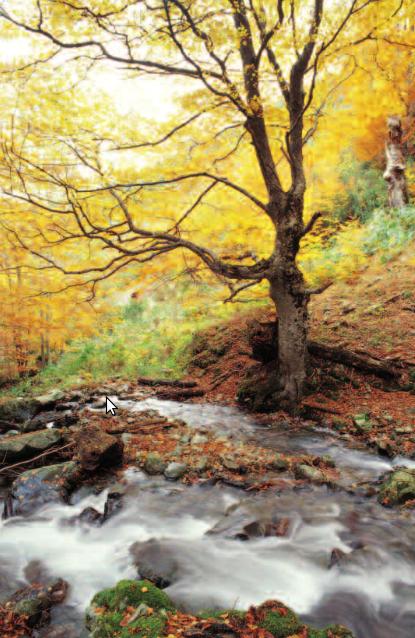 Sierra de la Demanda